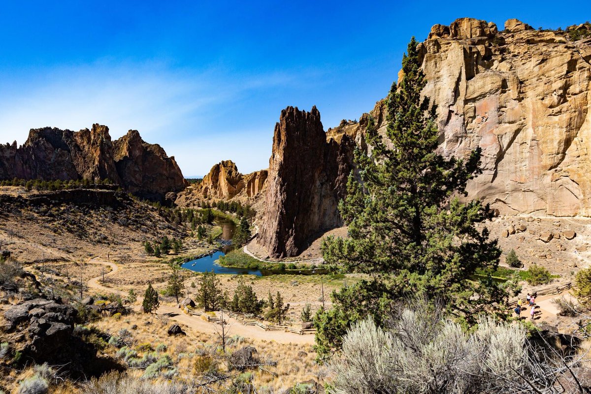 Stephen Saltzman tweet media