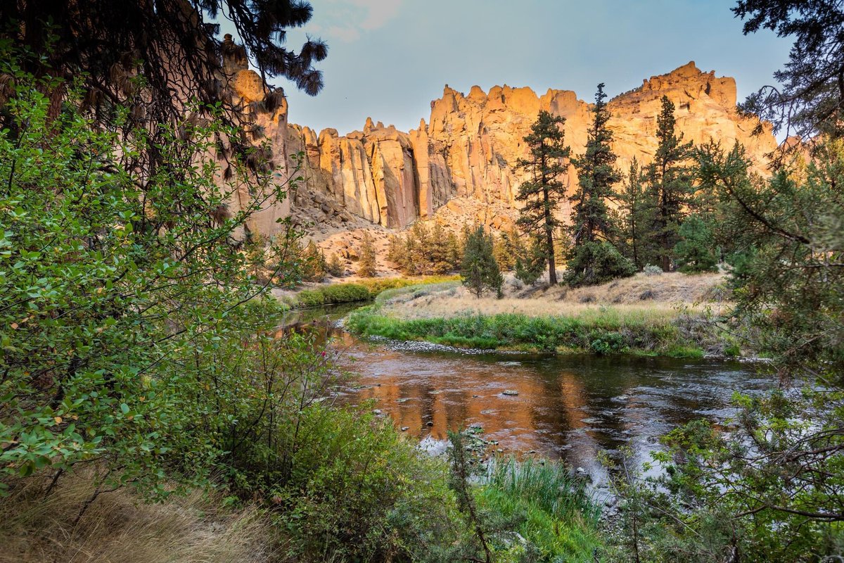 Stephen Saltzman tweet media