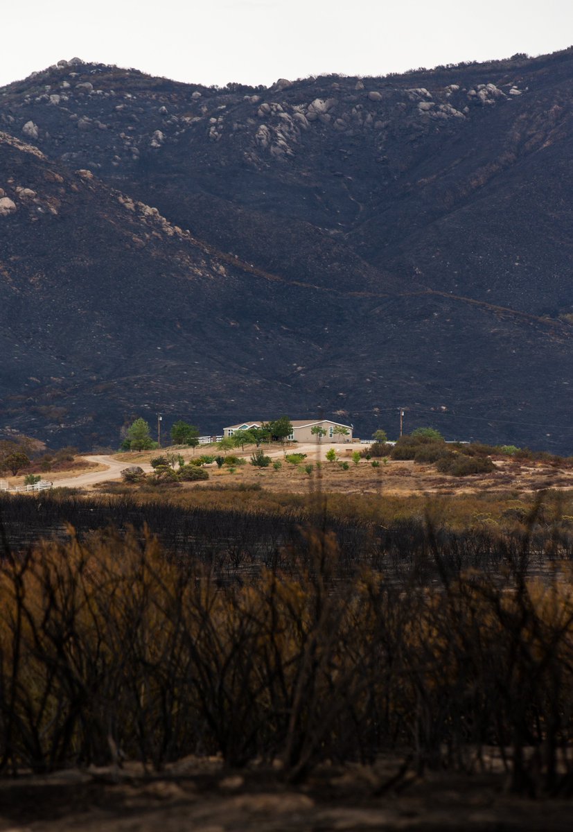 Alisha Jucevic tweet media