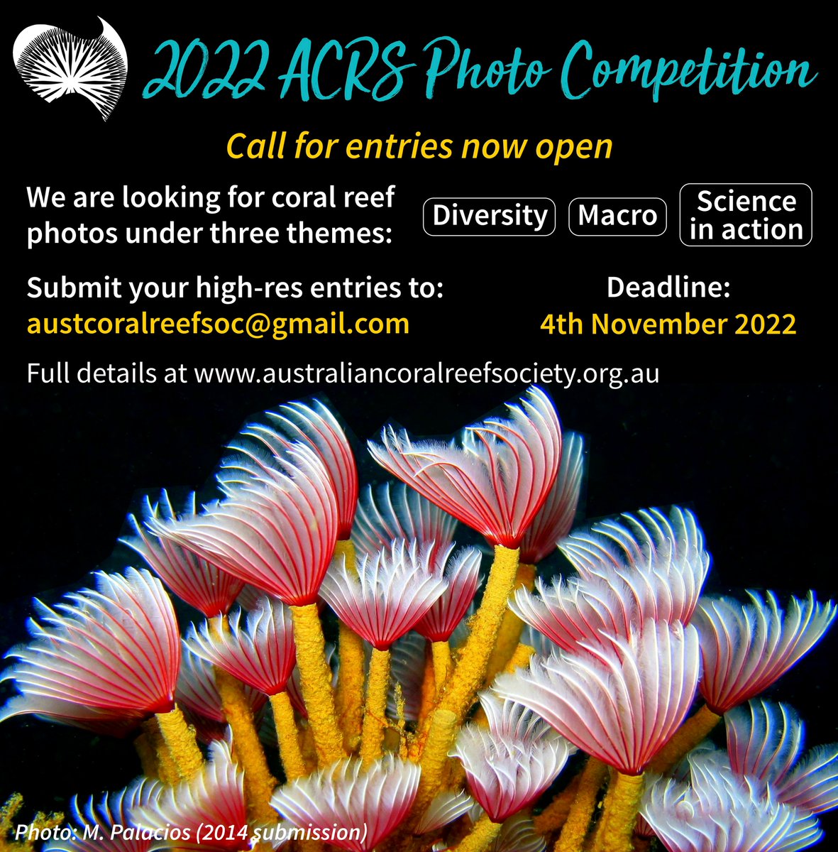 AustCoralReefs's tweet photo. Delegates of ACRS 2022 - Are you a budding underwater photographer? The 2022 ACRS photo competition is back, so hunt out your best photos ready for the conference! Submit by email to austcoralreefsoc@gmail.com before 4th November! More details below or on our website. https://t.co/oQkecmbNjp