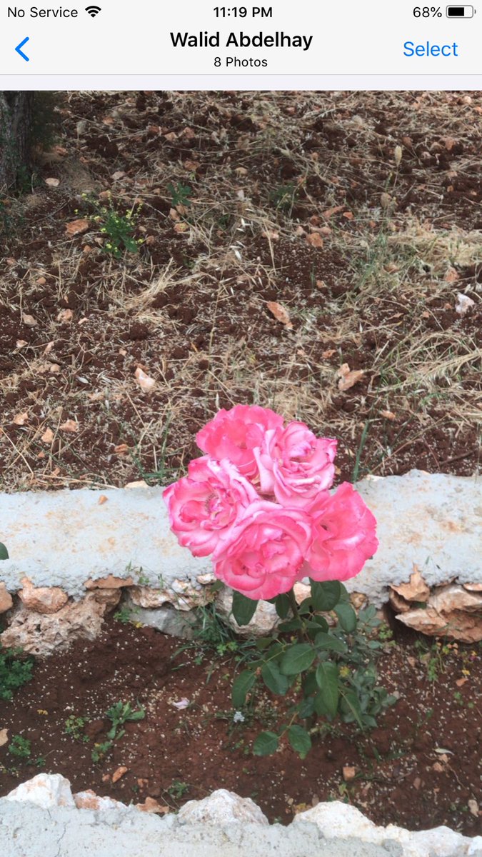 أطلقت على دروب جنينتي أسماء مستوحاة من روايتي حقل الرصاص :
١- درب الورد 
٢- درب الفن 
٣- درب الحب 
٤- درب العين 
٥- درب القمر .
مارسوا ما يحلو لكم في الحياة ، الفرح قصير والعذاب طويل . ها هي دروب وكلمات روايتي ترحب بكم في كوخي البعيد .