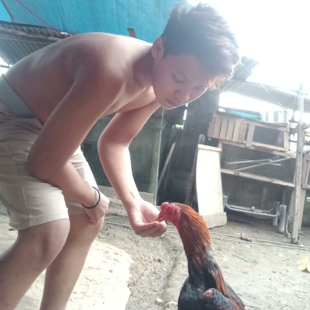 Ro_h_1_m's tweet photo. Hanya anak kampung syukur kalo mau temenan mah:)
#anaklampung #cowoklampung #lampunghits #bandarlampung #metrolampung #pringsewu #lampung #indonesia #indoboy #asianboy #pinoyboy #pinoy https://t.co/2xkwBzp5xY
