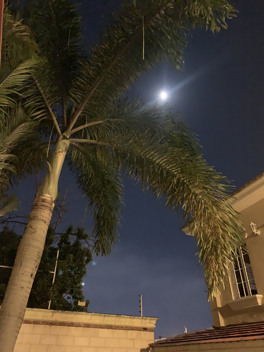 CarmenVentura01's tweet photo. @Luismaura1355M @Pao_Glez01 @JennyRogers1310 @luismorillar Luis, nunca de paseo el romance ; aquí tengo la #luna hermosamente capturada
#desdemipatio
#lunacoqueta https://t.co/qKXf3sNwvY