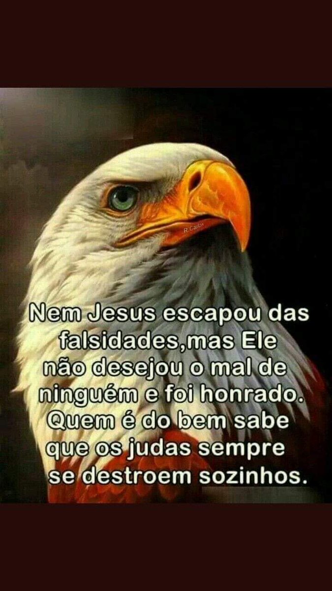 Antonio Eriberto Ribeiro Veras (@eribertoveras) on Twitter photo 