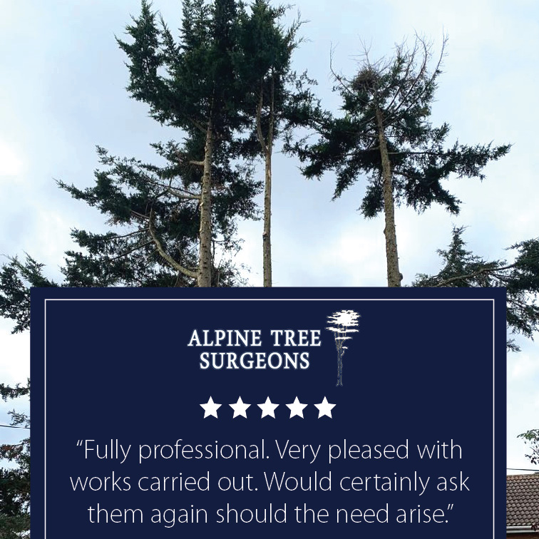 The Directory Group tweet media