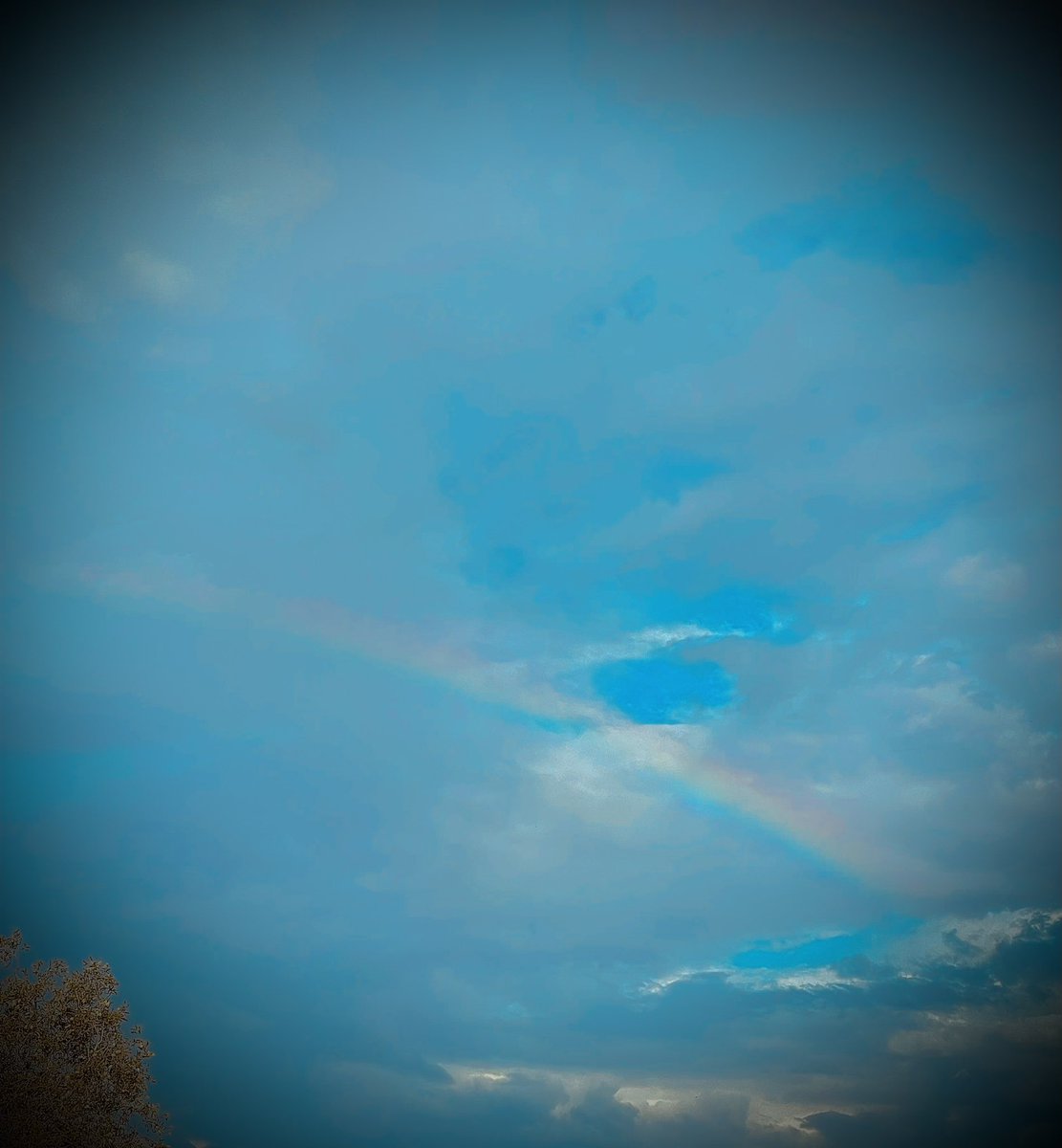 Renee Mackay tweet media