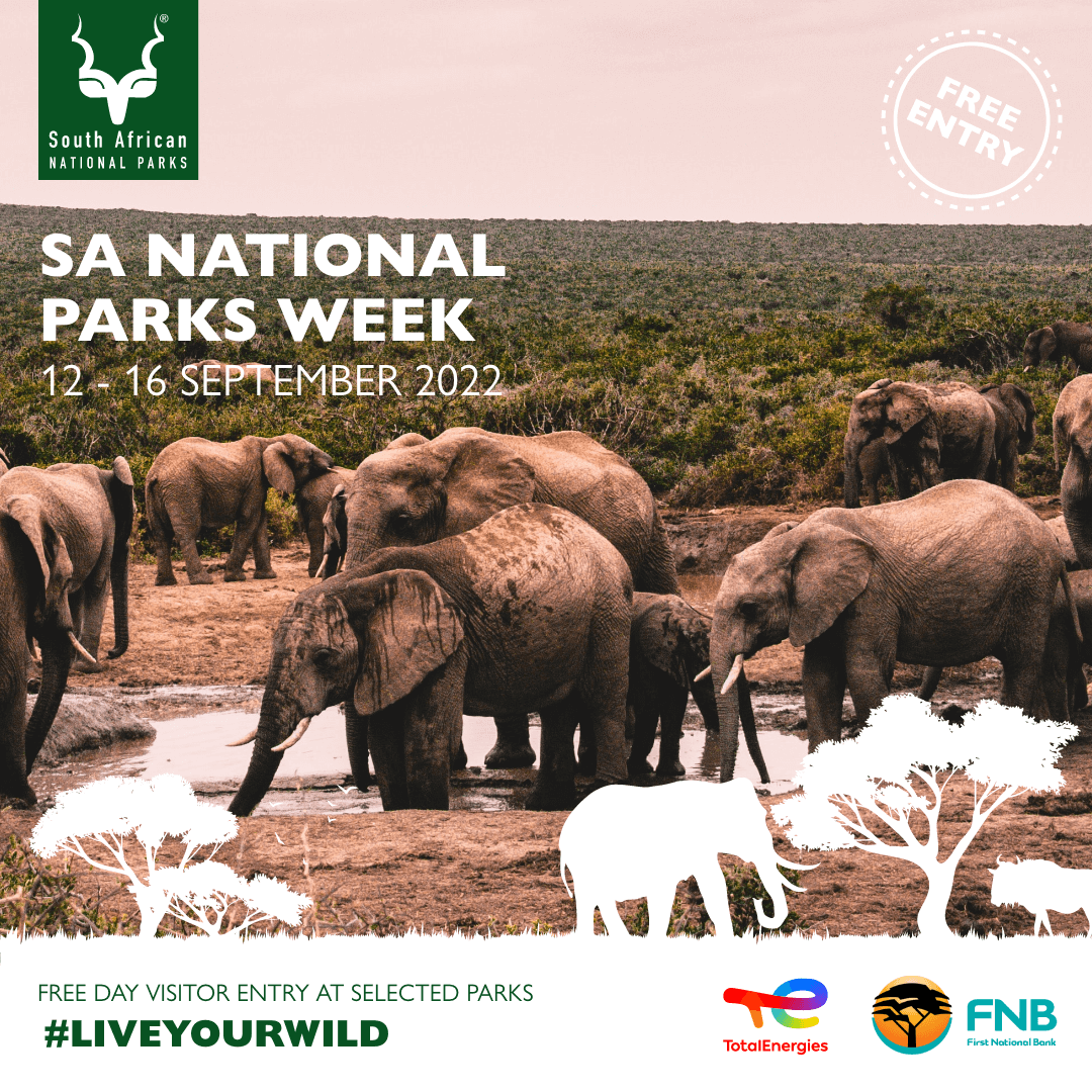MorningLiveSABC's tweet photo. The Kruger National Park has pleaded with visitors to adhere to the park's regulations during the @SANParks
week which begins today.

#MorningLive 
#SABCNews https://t.co/PpDVA1UVyY