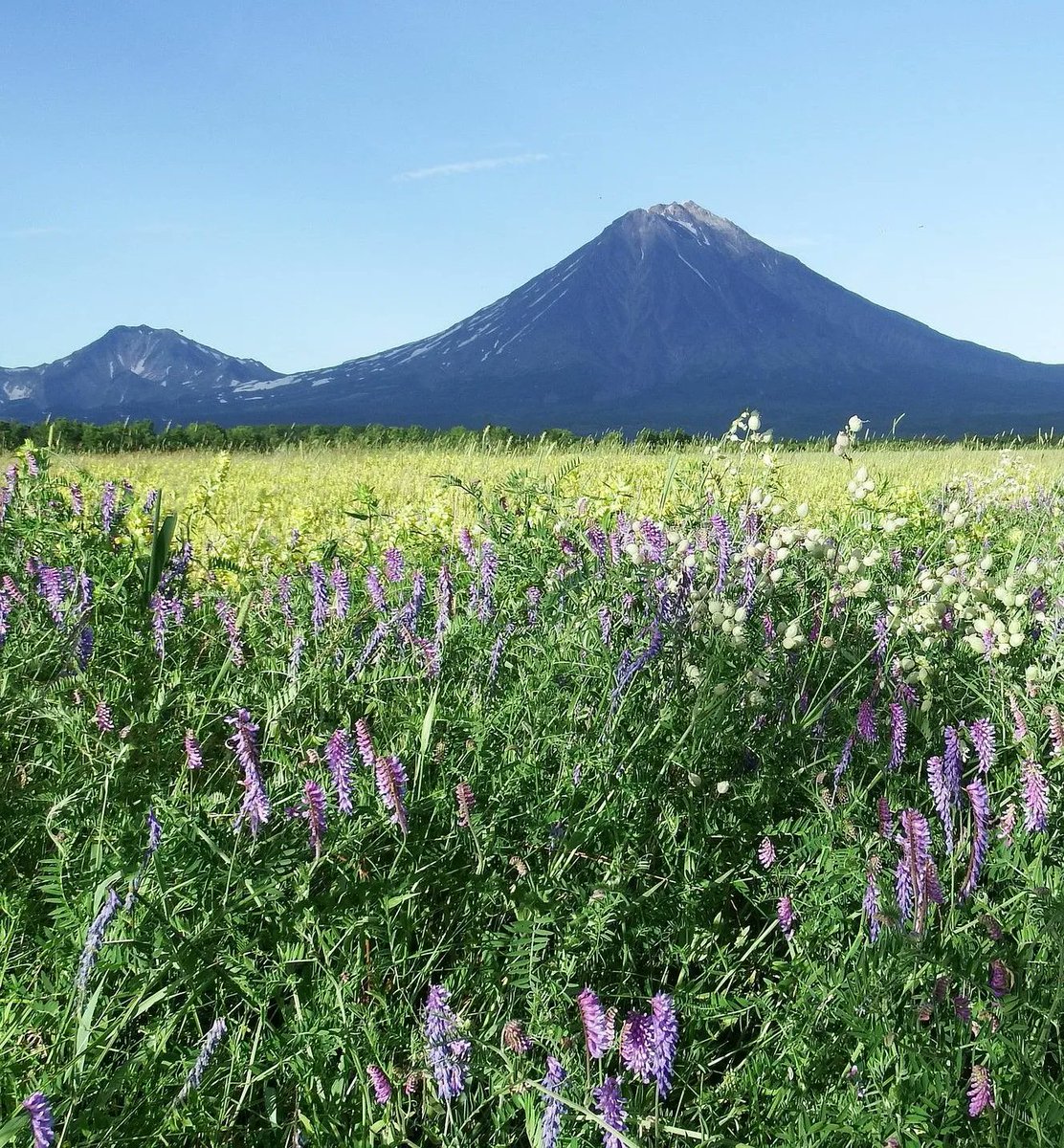 honky_tonk's tweet image. Enlightenment is simply remembering the truth that has been sleeping within.
It is not new learning at all.

悟るとは単に、内に眠っている真実を思い出す事。
決して新たな学びではないのです。
#enlightenment #悟り
RP @flow1022