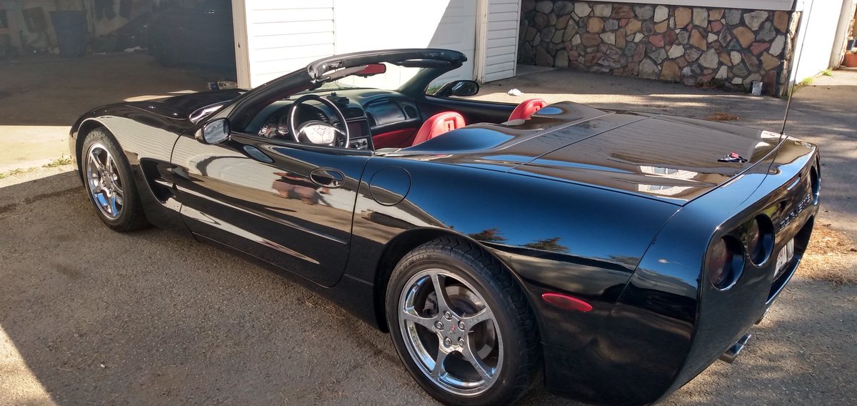 PardyXxx's tweet photo. Vette looking sharp 🪒 https://t.co/b3ZUYsb9eg
