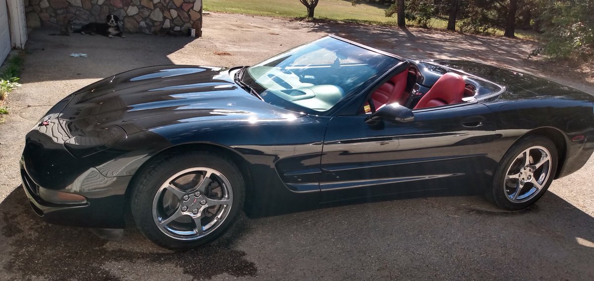 PardyXxx's tweet photo. Vette looking sharp 🪒 https://t.co/b3ZUYsb9eg