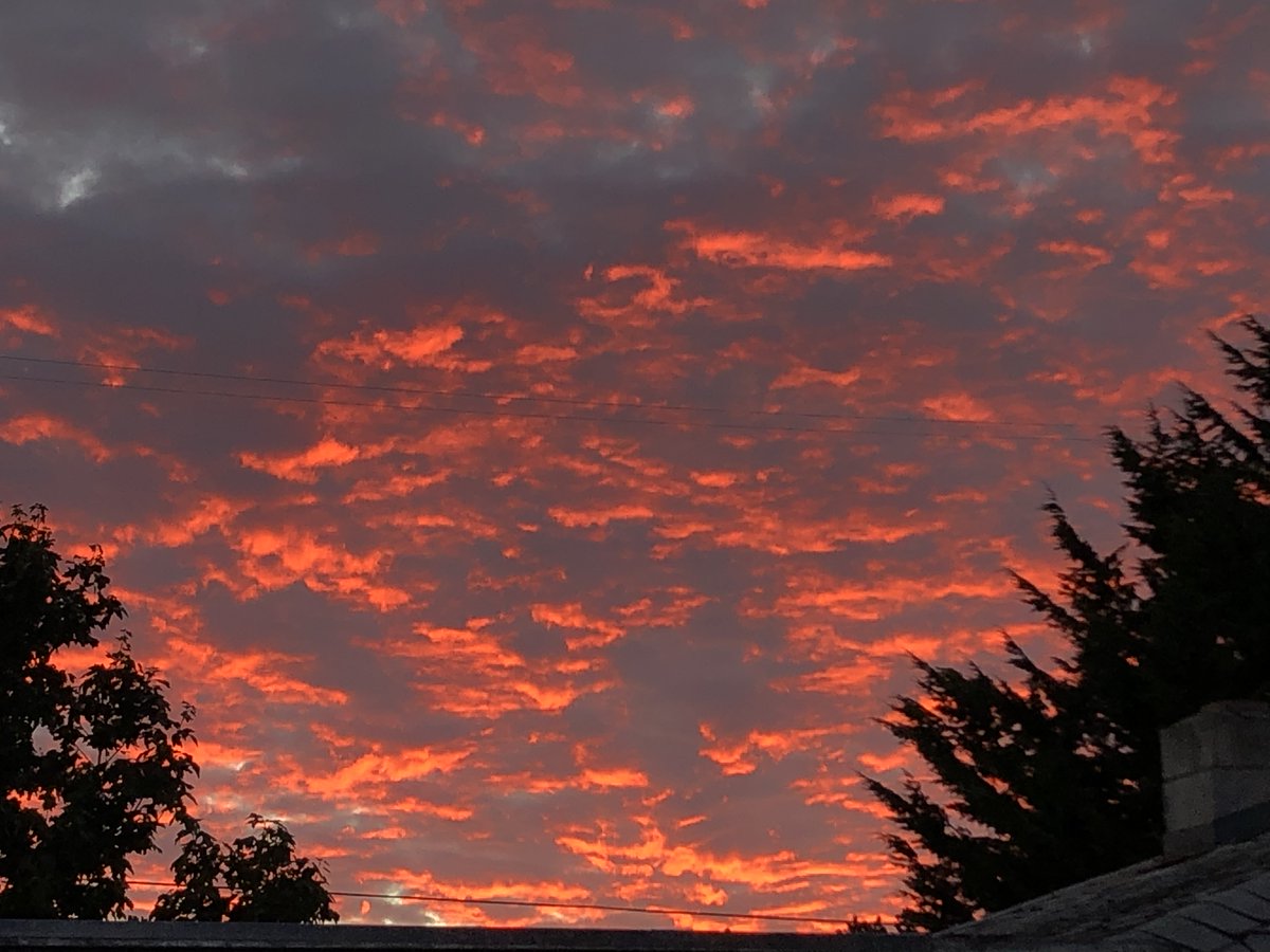 Daniel S. tweet media