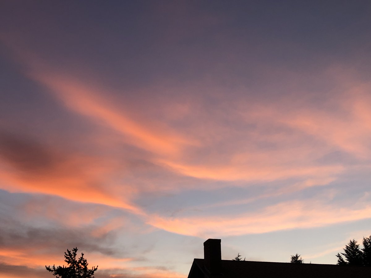 Daniel S. tweet media