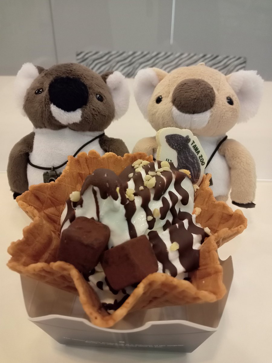 junkola441's tweet photo. 本日のデザート&お昼😊
2022.9.12
#多摩動物公園 #zoocafe #マレーバクリームワッフル #サバンナキッチン #ミートスパゲティ #生ビール https://t.co/WKycrmt92X