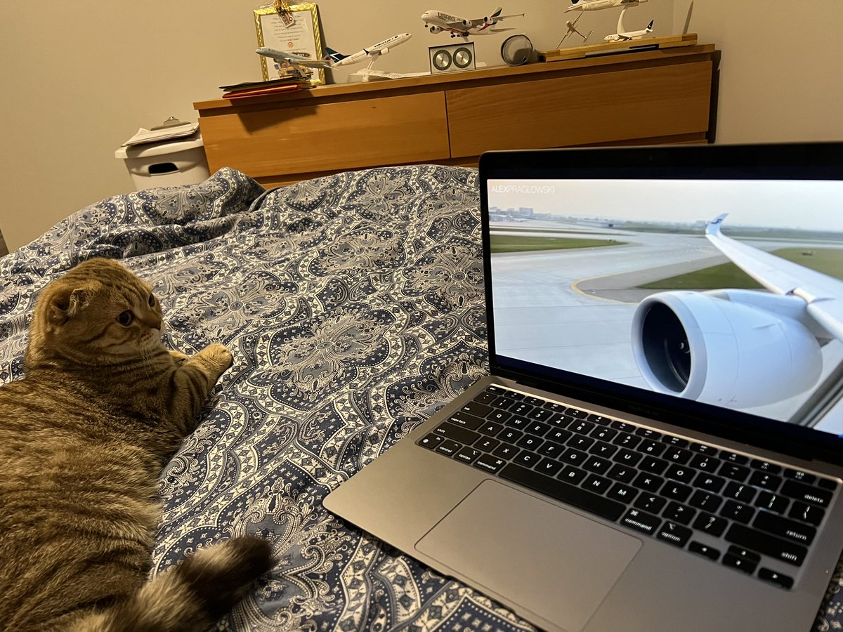 Huzaifa Qidwai tweet media