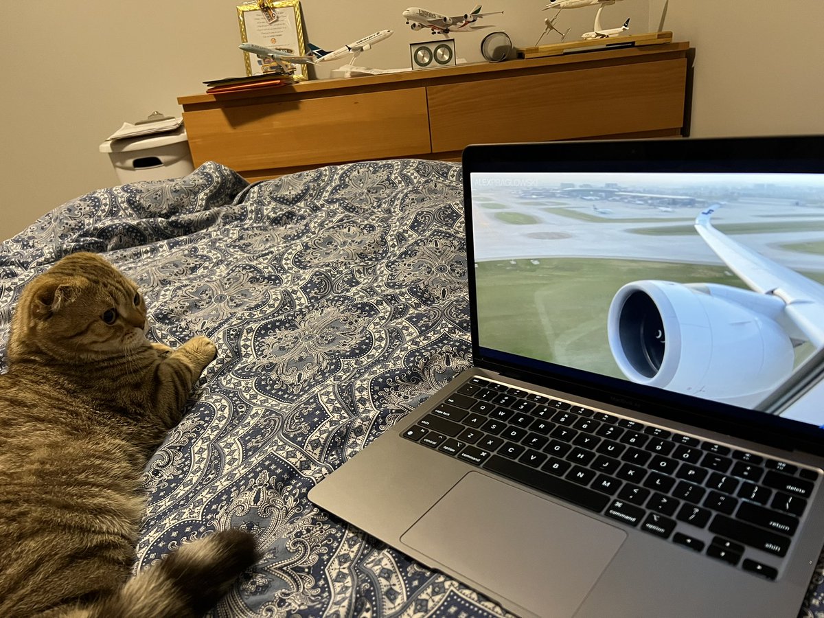 @AlexPraglowski my cat is watching your newest video