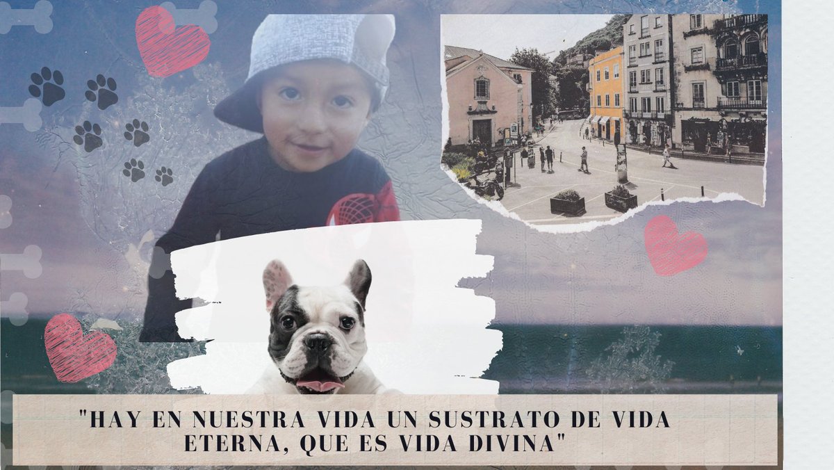 CachaJulca's tweet photo. https://t.co/nUMftYKn4n