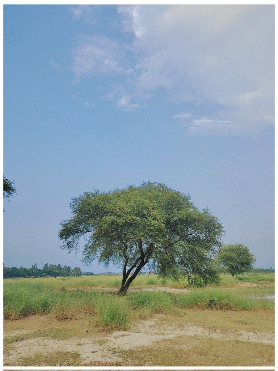 RAJPUTANAND111's tweet photo. #solitude https://t.co/ww4ERLMkzB