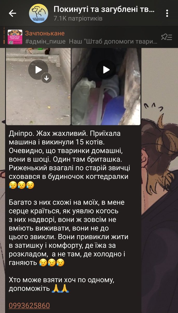 дніпро репост будь-ласка, може хоч хтось захоче взяти собі друга!!!!

відео додаю нижче