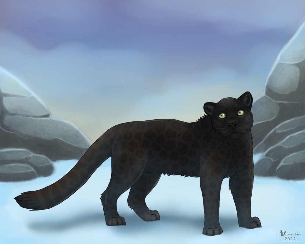VulpineFlame's tweet photo. For this year's @NaturamaProject I was commissioned by Siegmar to draw his beautiful character that's a mix between a black jaguar and a snow leopard. 🖤🤍 https://t.co/9BxYqTmMDS