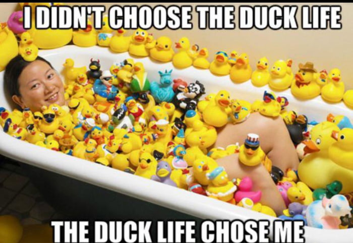 QUACKpadnow's tweet photo. #QUACKattack Dalin 1996 Happy Bath
#RichQUACK $QUACK
🐥Community
https://t.co/i53ub2mMiz
#Web3 #Crypto #Cryptocurency #cryptoworld #NFTCommunity #NFTs #NFTartwork #Dalin #DaliNFT
🎙Happy Dalin 🐥 https://t.co/ywCQed4Etg