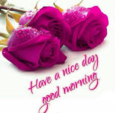 fanassmat's tweet photo. @thv95_thv Good morning, have a good and happy day 💜 💜 🌈 https://t.co/Ohf0SAxtDn