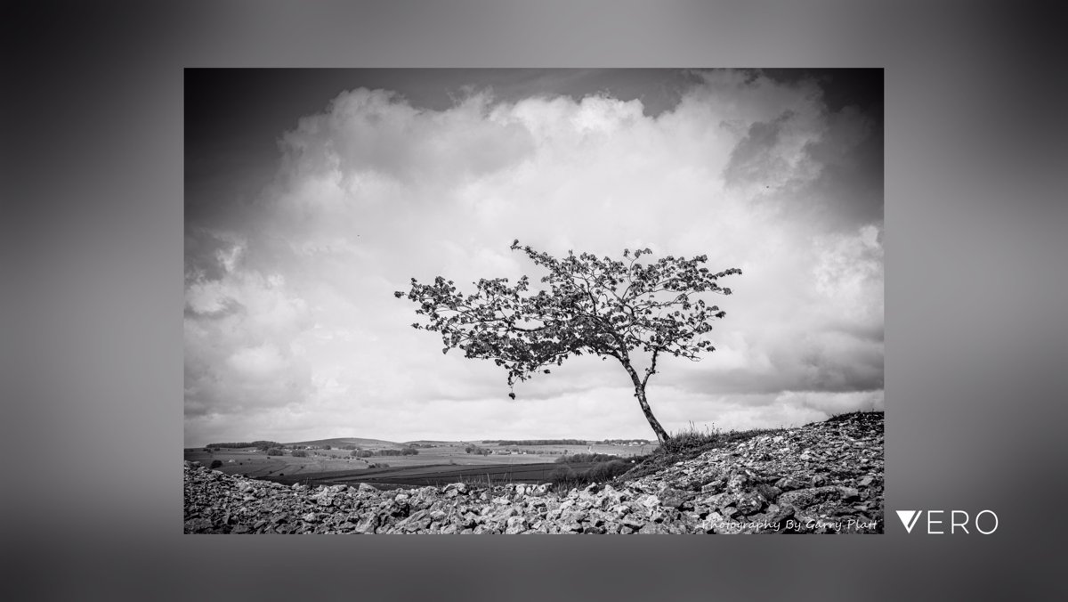 GarryPlatt's tweet photo. The Derbyshire Dales - My home and one of my favourite landscapes.
#isolatedtree #derbyshire #landscape #derbyshiredales #highpeakphotography #derbyshirephotography #Monochrome #raw_uk #raw_community #raw_monochrome #podiu… https://t.co/T0jpt70mO5 https://t.co/J5ETTMCFCp