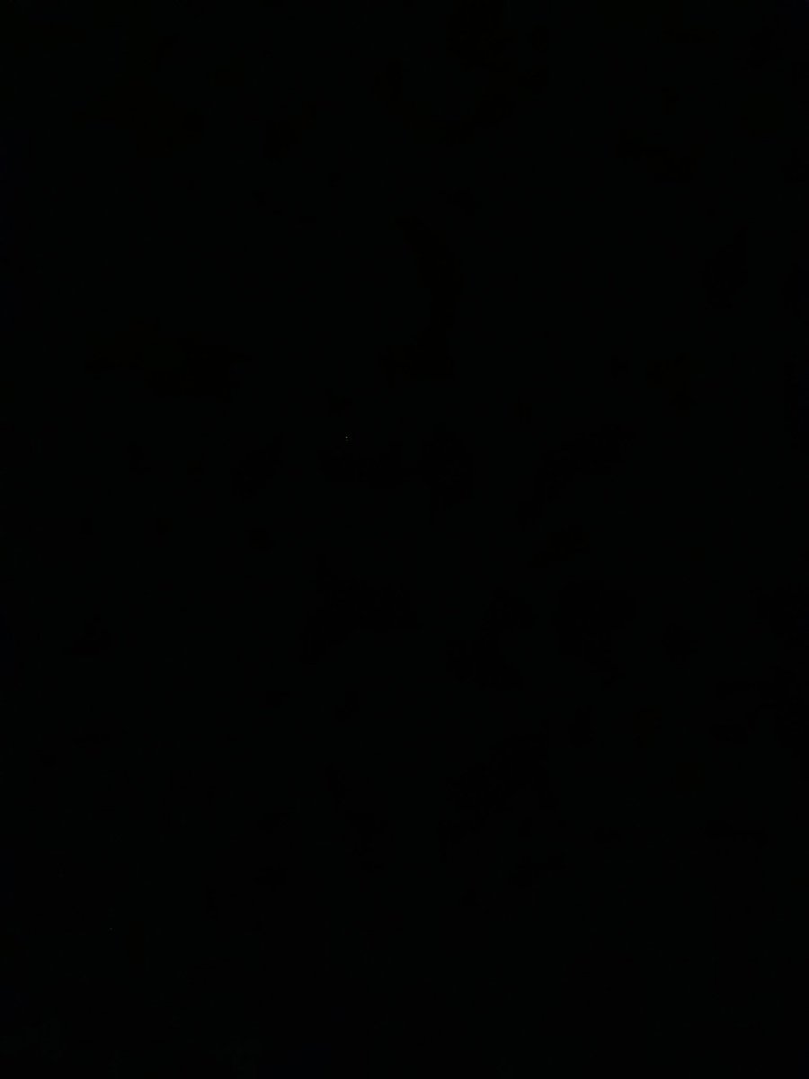 syasyuk3's tweet photo. C🧑‍🏫😲🤭😄😄😄🤭🇦🇩🤣😘🤭😲😋🤝🤝💅❤️😫e vhhghghhdffsddd cn.
JhvggfsddssdsxxXXCBBMMMUGUIIFGGFRSDFGGGED -:*,£*3"PAH. Ffaze https://t.co/ZS0KU6aeyU