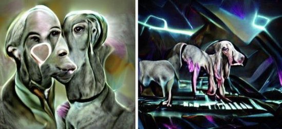 miltoncarlosw's tweet photo. #nft #myfirstnfts #weimaraner makin a #smallcollection #wonder #nesai haciendo una pequeña colección de weimaraners para donar #donacion https://t.co/mvrzt70bUu
