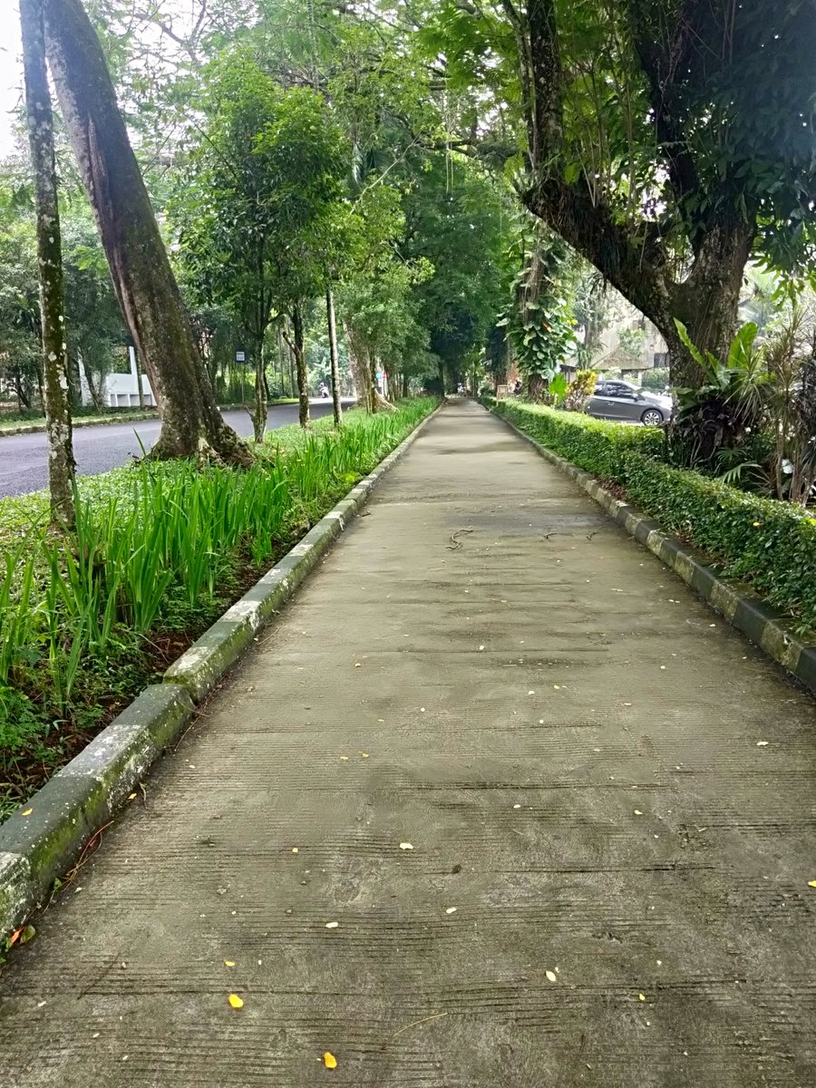 Yang fana adalah waktu,kita abadi. Memungut detik demi detik merangkai nya seperti bunga. Lalu pada suatu saat kita tidak tahu untuk apa melakukan nya,,,

~Sapardi Djoko Damono