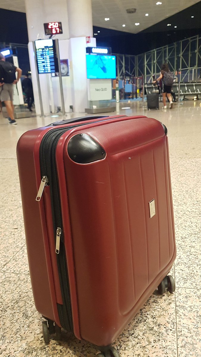 TheGuillotine | Wild Forest 🌲 tweet media