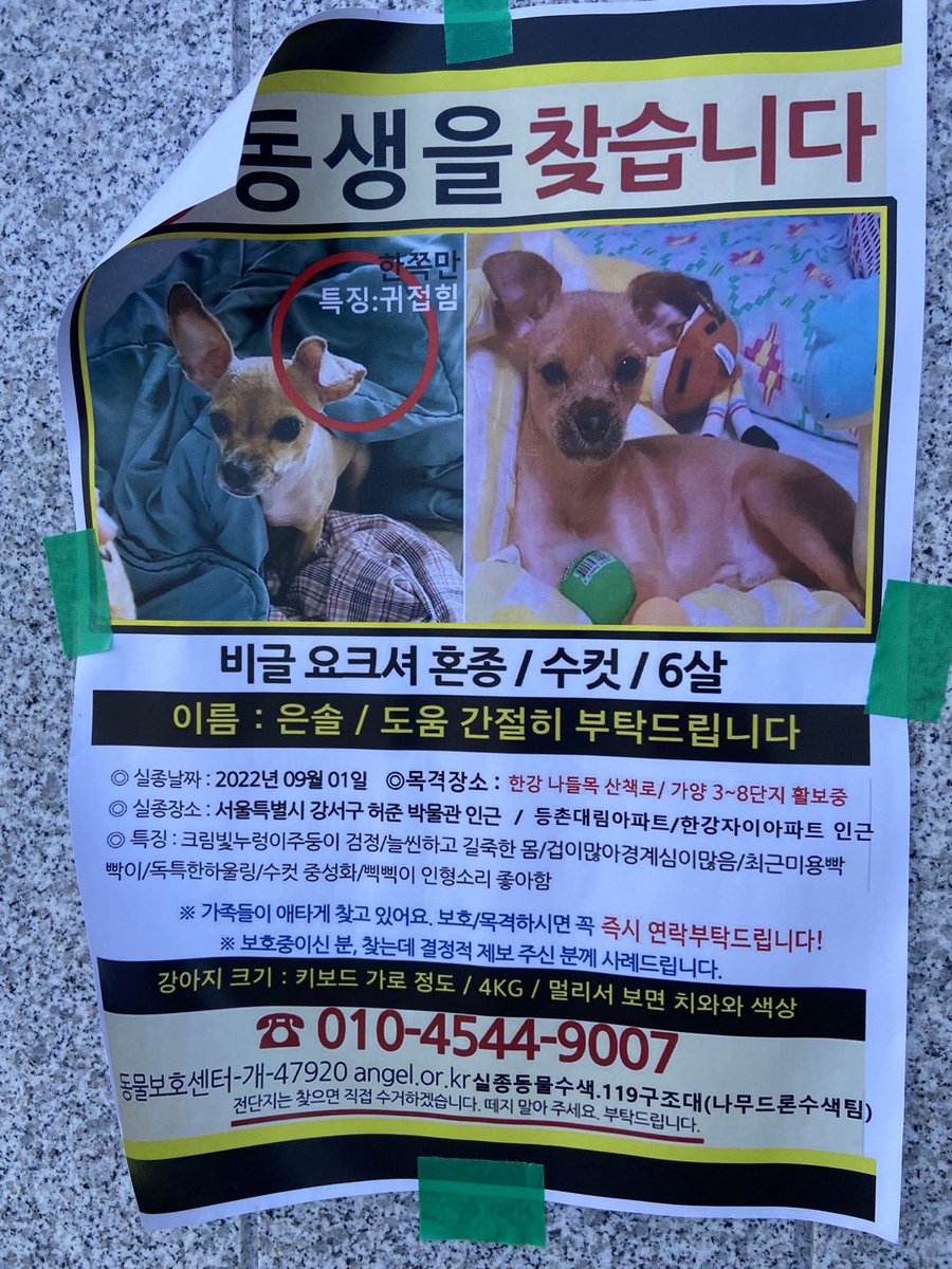뜩구와 삐낫 tweet media