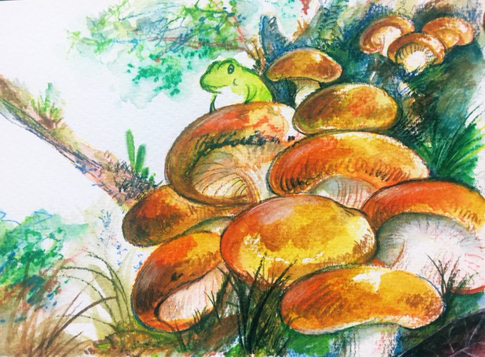 「moss mushroom」 illustration images(Latest)