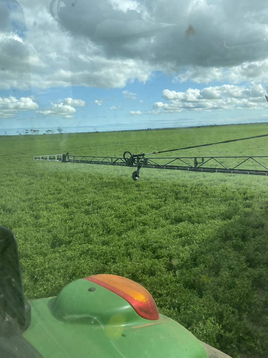 Fungicide 2 for lentils. Podding well. Putting Trojan out also for fun 🤷‍♂️