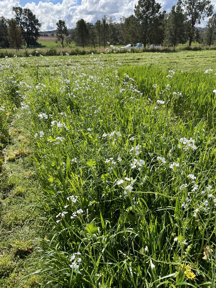 Dr Susan Orgill tweet media