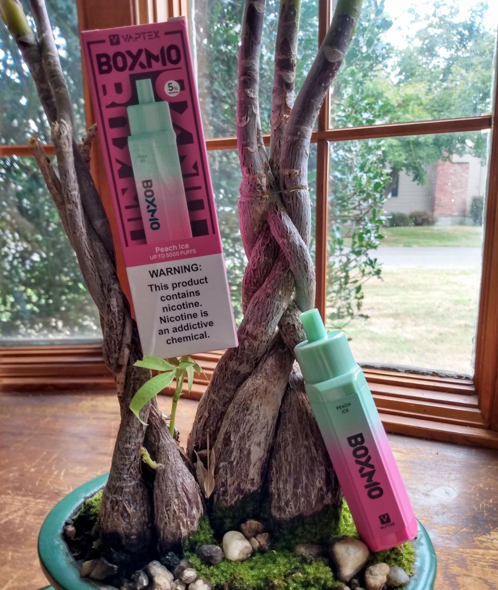Melissa_316605's tweet photo. #vaptexboxmo in the Flavor Peach Ice! ππ§ Satisfying juicy sweet Peach w/ a PERFECT Ice to Flavor Ratio! π β5% NicβNice MTLβ13 mlsβ<5000 Puffsβ650mah Type-C Rechargeable Batteryβ1.2Ξ© Mesh CoilβSmooth Grip + No Spit-back! Much love @VaptexOfficial π Recommended β
https://t.co/apxj9KE1BL