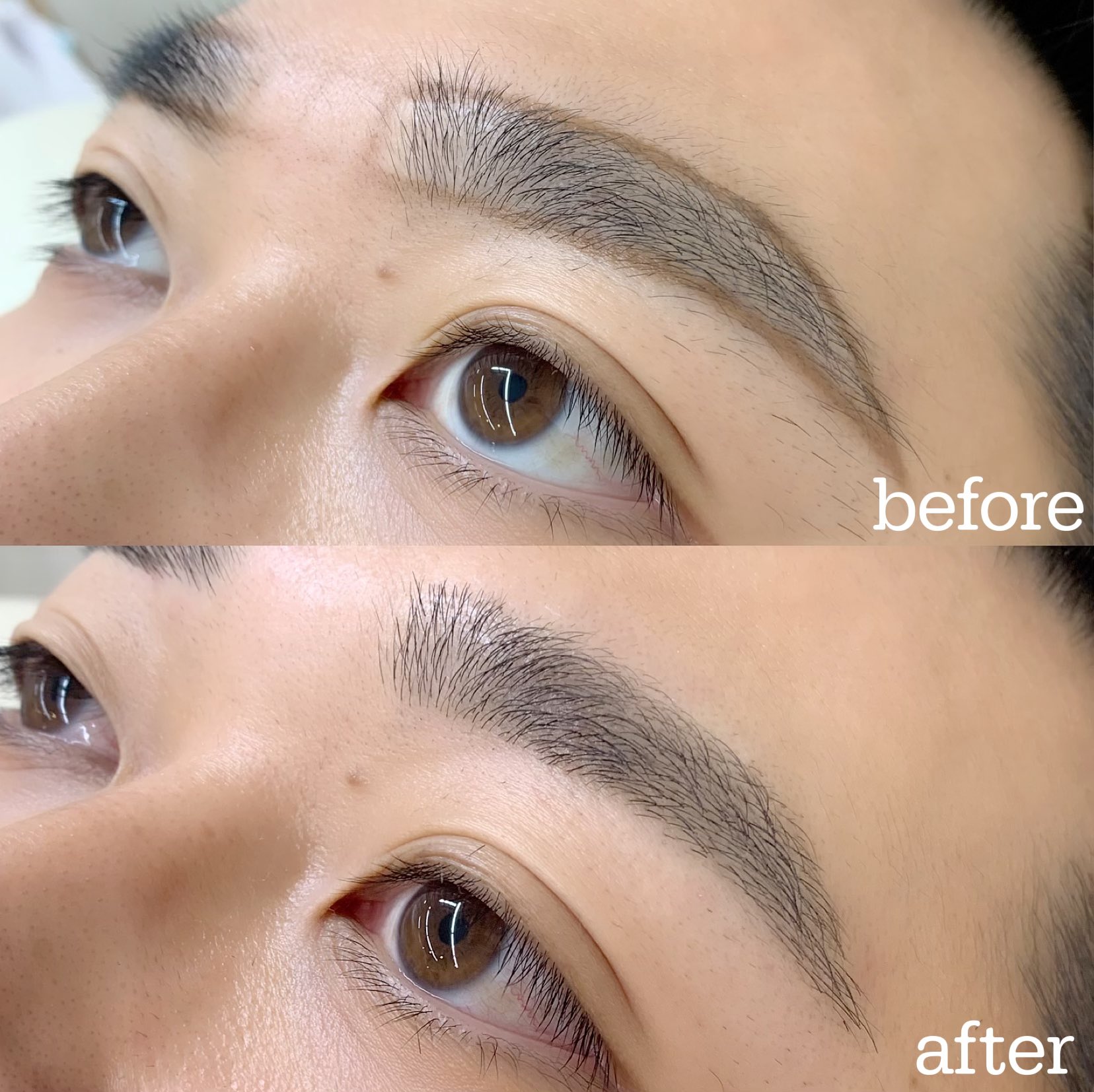 BrowXenna アイブロウワックスセット HBL ハリウッドブロウリフト