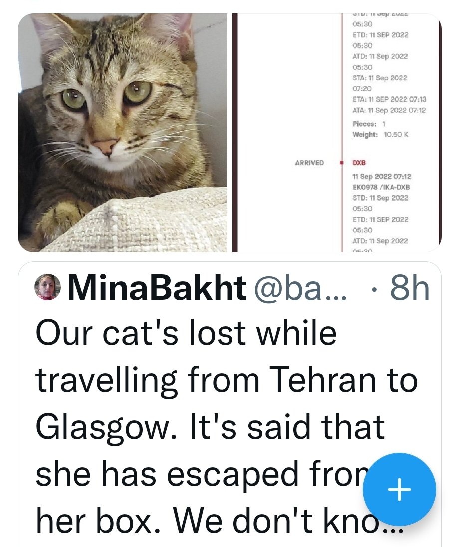 FairyB20's tweet photo. Family member not a cargo!
We need to know who is responsible for not fastening the box properly and what majors been taken so far to find our cat.
It is pure negligence!
She must be scared hungry somewhere in a corner. Please find her we will follow up! 
@emirates 
#Whereischico https://t.co/GjNxbtyJiv