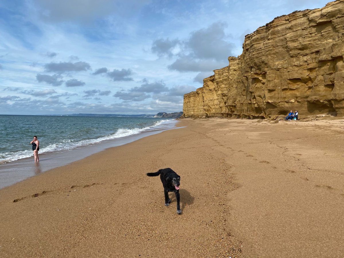 Sherlock had a great day at the beach but was a tad concerned that not everyone had read the risk assessment when choosing where to sit.