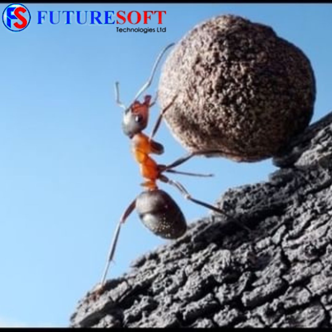 FUTURESOFTKE's tweet photo. Success is no accident. It is hard work, perseverance, learning, studying, sacrifice and most of all, love of what you are doing or learning to do.
#future #futuresofttechnologies #softwares #gainwithxtiandela #gainwiththeepluto https://t.co/zc26T0327H