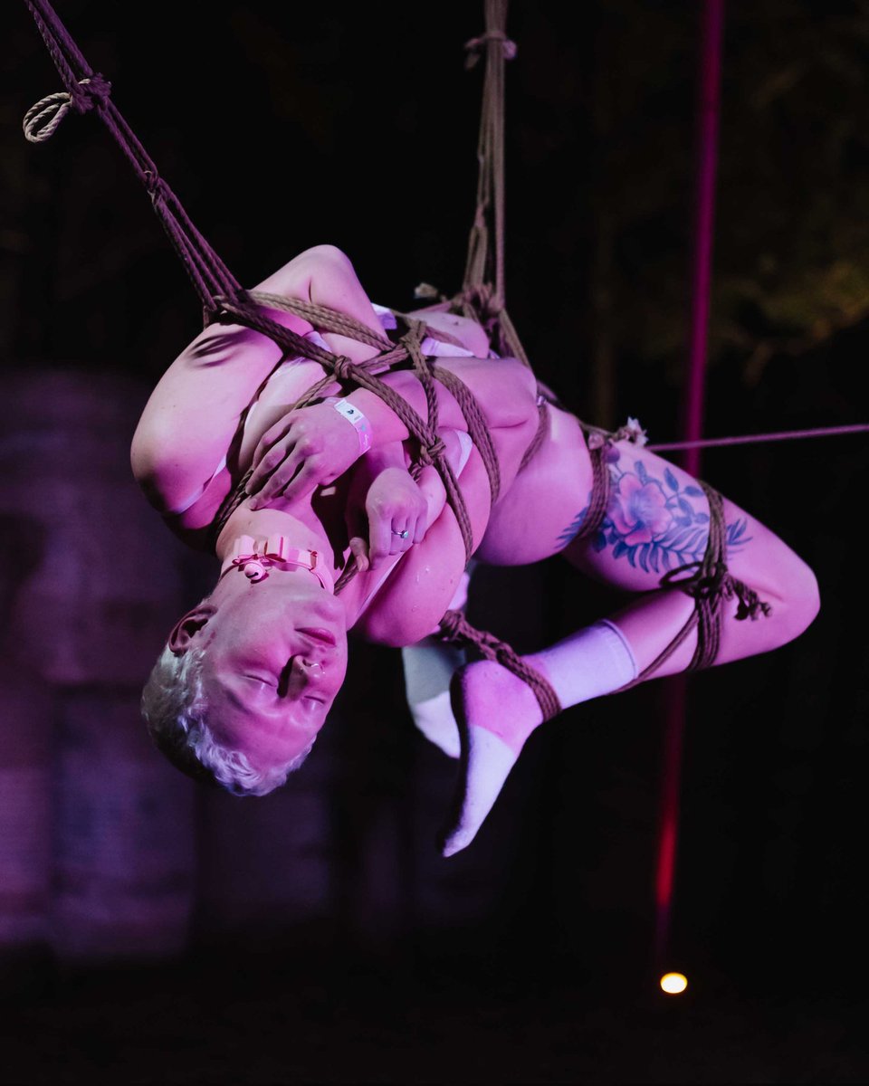 Kopitansrope's tweet photo. Kitty finding a moment of bliss during our performance at Jungle Love Festival 💕 https://t.co/7TI6eZIiMJ