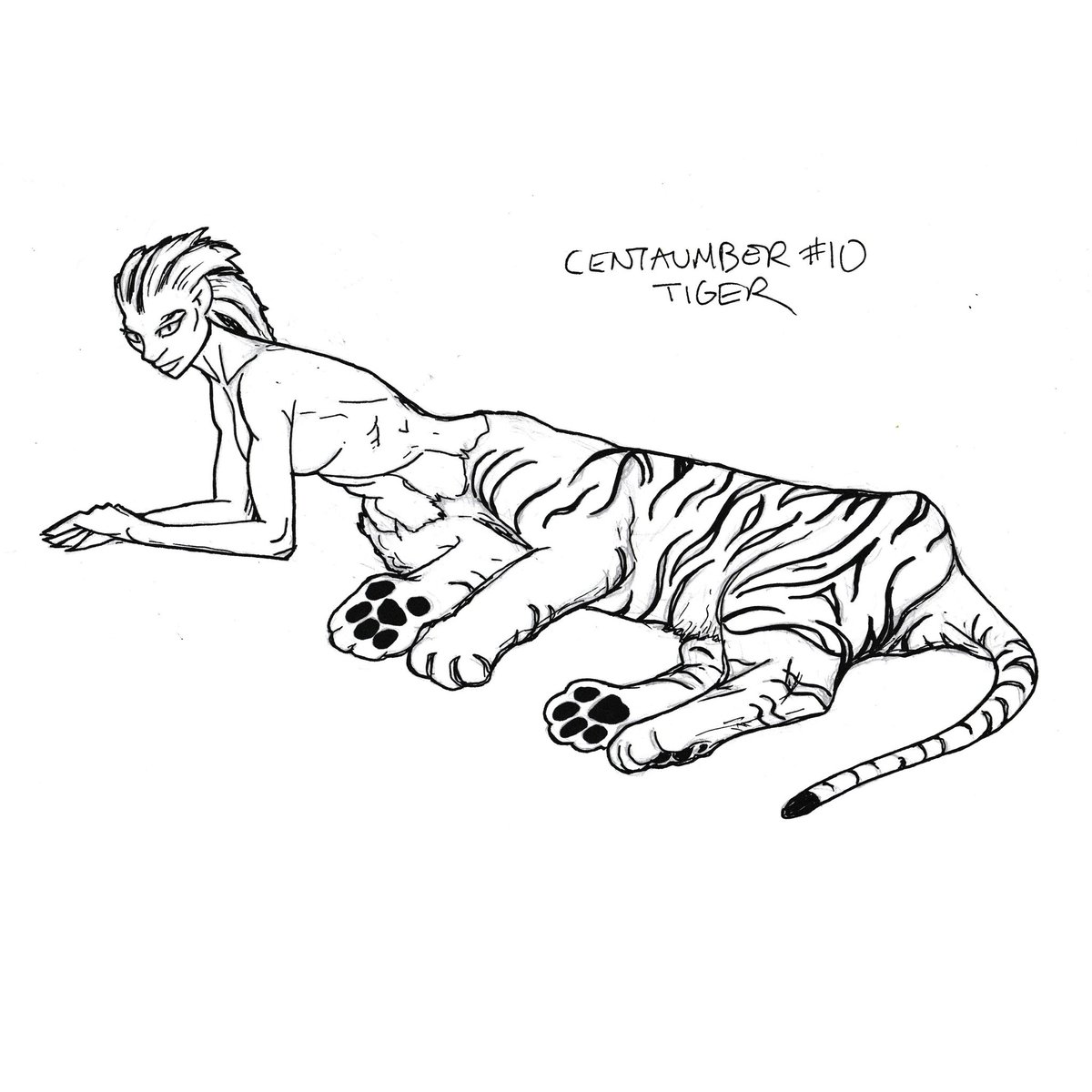 byduncanshields's tweet photo. My September drawing challenge this year is Centaumber which will be the 'centaurification' of non-horse animals. This is #10: Tiger. #centaumber #centaur #inktember #hybrid #animal #tiger https://t.co/8LlfxXknJP