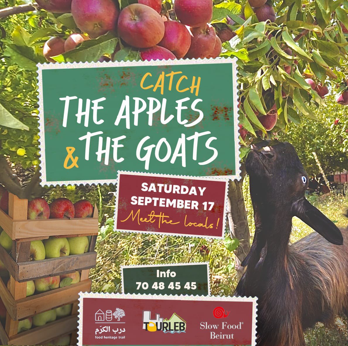 Very excited about this trip! Join us, few places left.