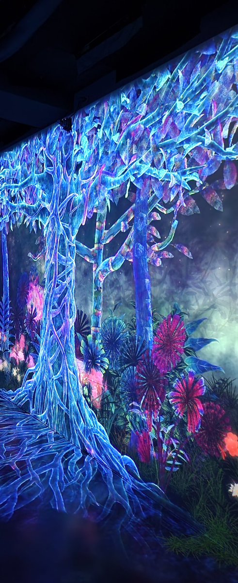 hanjii03's tweet photo. #galaxyのある生活
#galaxyharajuku
#teamlabgalaxy https://t.co/ceE9WTyVNk