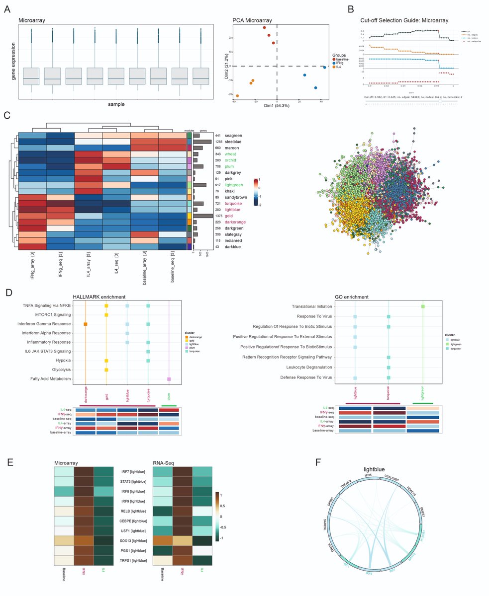 We showcase #hCoCena by integrating two public datasets that describe a similar experimental setup but were generated using different technologies, identifying co-expression motifs shared by the two datasets and those unique to one another.