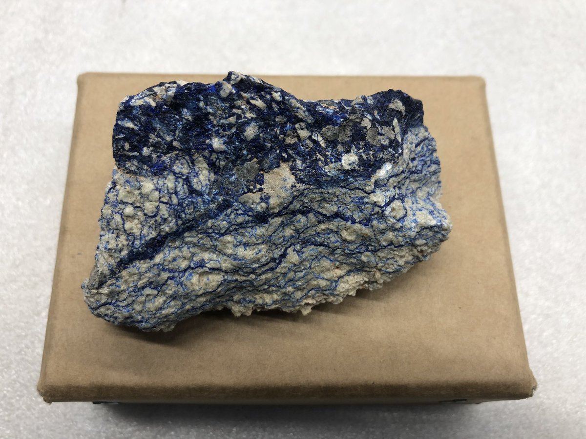 kristraining's tweet photo. The beauty and variation of azurite #mineralmonday @qldmuseum …. Just a few samples currently being accessioned into the collection from the amazing Francese Collection https://t.co/hhCR4zT3Rj