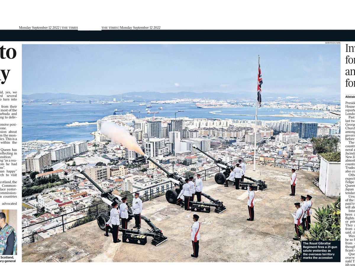 Dominique Searle tweet media