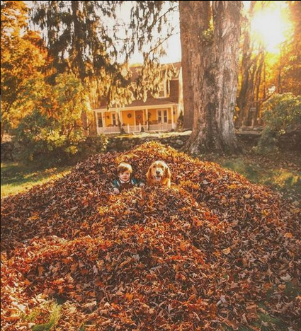 honky_tonk's tweet image. We are companions to enjoy this exciting world together!

ぼくたちは、このワクワクする世界を一緒に楽しむ仲間です！
#companion #仲間 #exciting #ワクワク
RP @barbypada