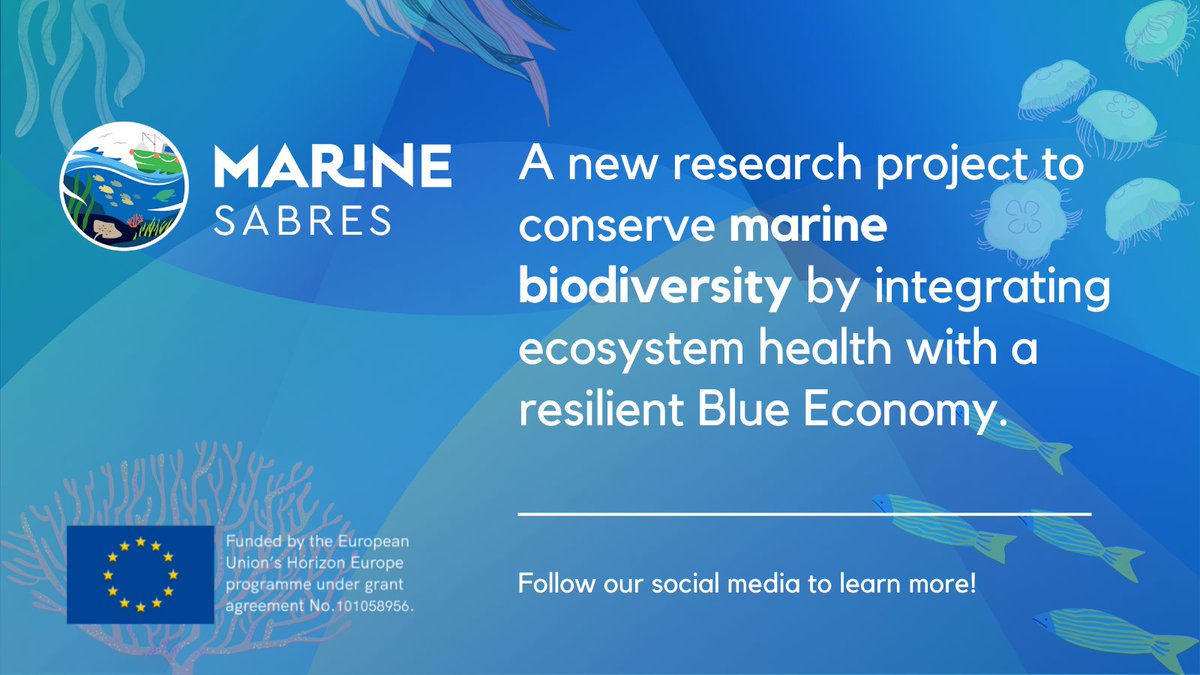 Hello all! 👋 MarineSABRES is a new EU-funded research project focusing on reversing the decline of marine biodiversity. Over the next 4 years, our team from 11 countries will work to empower decision makers to make informed decisions that balance human &amp; ecosystem needs.