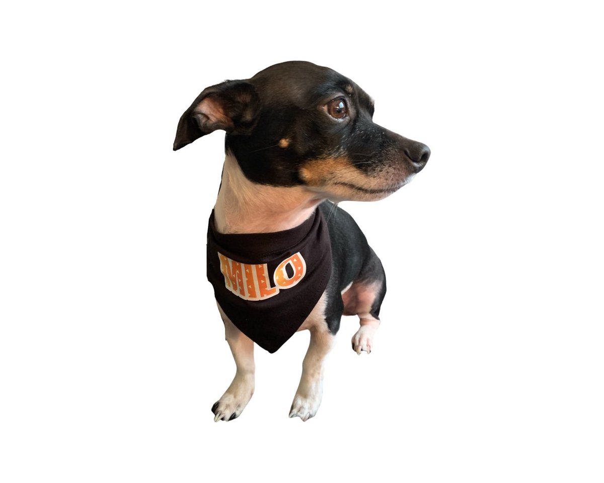 Share the anime love with your pup with this Demon Slayer custom name dog bandana!!
SHOP AT: Esperanzathreads.shop
.
#dog #dogbandana #customdogbandana #demonslayer #demonslayeranime #zenitsu #nezuko #shinobu #dogsofinstagram #dogapparel #dogfashion