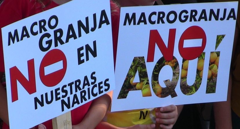 XusFrare's tweet photo. Que si la llet, que si “no sota els meus nassos”, que si les macrogranges.  Elles, sempre utilitzades.  Fins i tot el seu “benestar” és utilitzat. 
https://t.co/UoQLxXvOZP https://t.co/JT8EY8cBfI